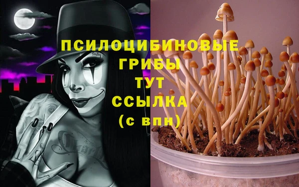 крисы Балабаново