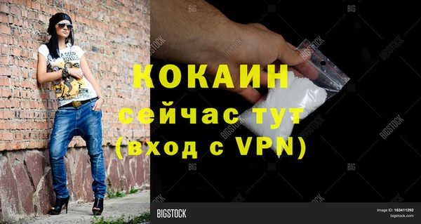 дживик Баксан