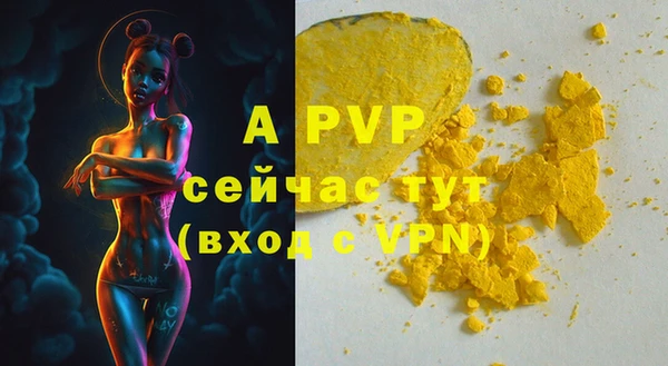 дживик Баксан