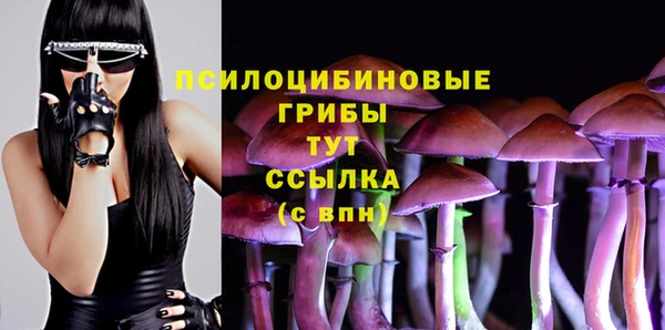 дживик Баксан