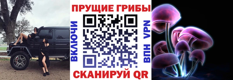 Псилоцибиновые грибы Psilocybine cubensis  Лабинск 